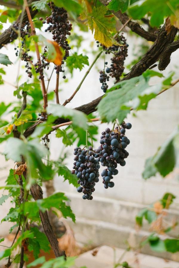 Masseria Torremossa Фазано Екстериор снимка