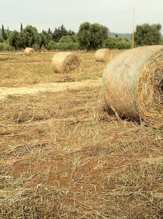 Masseria Torremossa Фазано Екстериор снимка