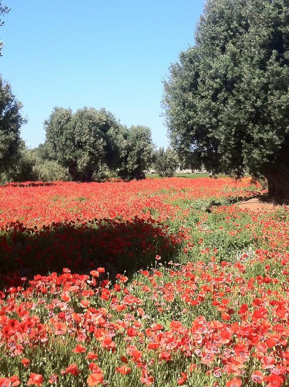 Masseria Torremossa Фазано Екстериор снимка