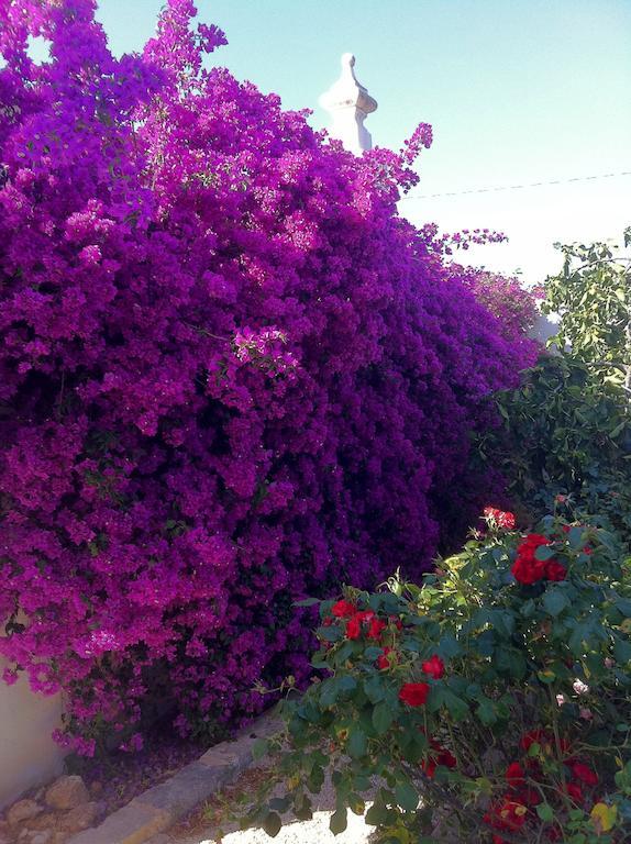 Masseria Torremossa Фазано Екстериор снимка